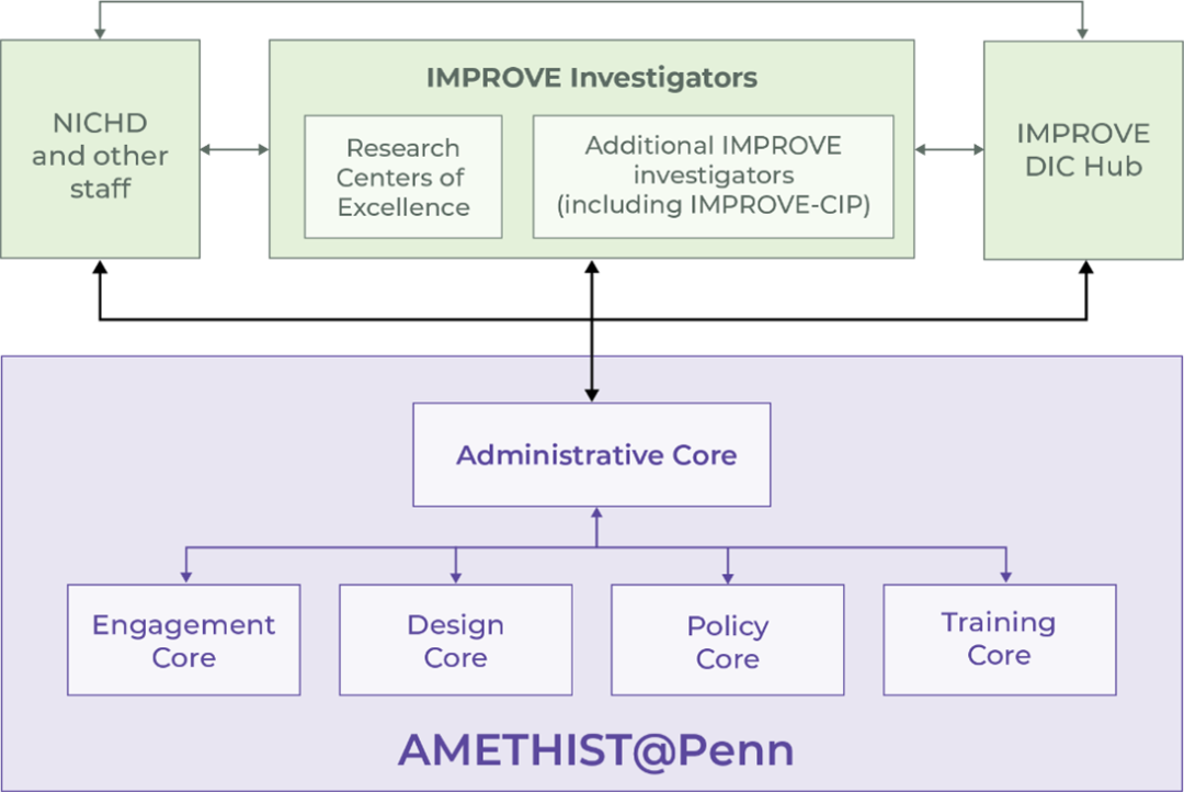 AMETHIST Organization Map within IMPROVE